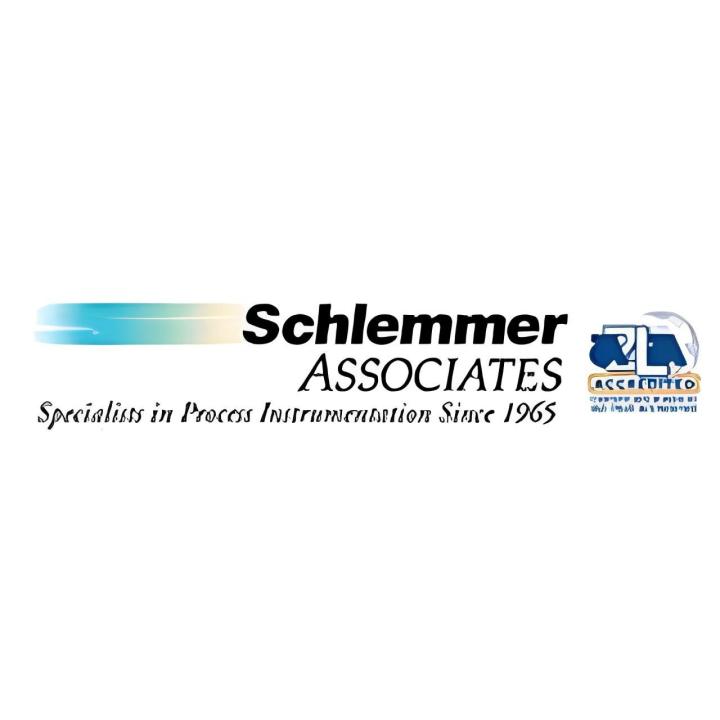 Log Schlemmer Associates