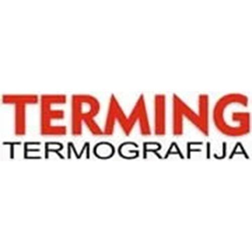 Logo Terming Termografija